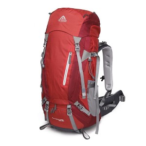 کوله پشتی کوهنوردی آیوان ظرفیت 55+10 لیتر مدل Futura Pro