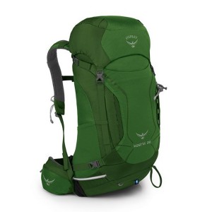 کوله پشتی پیاده روی 28 لیتری M/L مردانه آسپری مدل Kestrel
