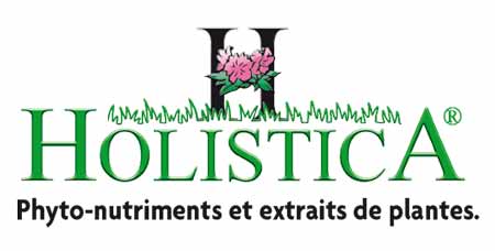 هولیستیکا