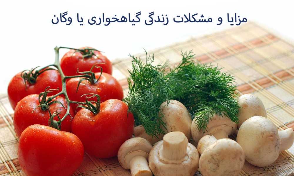 مزایا ومشکلات سبک زندگی گیاه خواری یا وگان