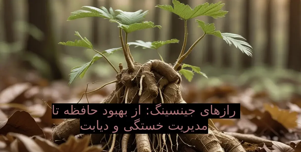 رازهای جینسینگ: از بهبود حافظه تا مدیریت خستگی و دیابت