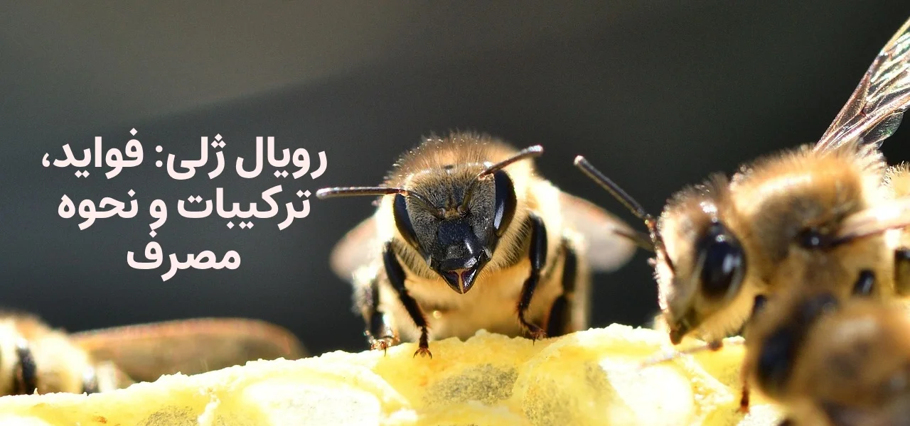 رویال ژلی: فواید، ترکیبات و نحوه مصرف