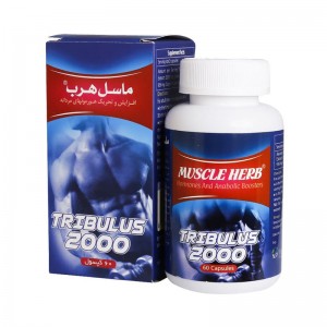 کپسول ماسل هرب بهتا دارو