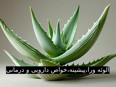 آلوئه ورا،  پیشینه،خواص دارویی و درمانی
