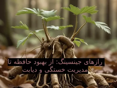 رازهای  جینسینگ: از بهبود حافظه تا مدیریت خستگی و دیابت
