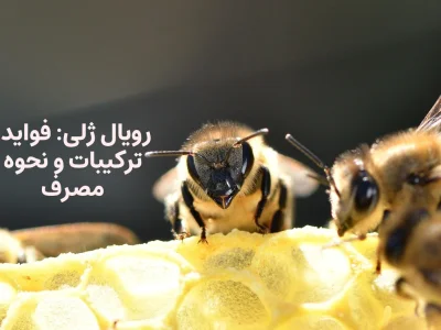 رویال ژلی: فواید، ترکیبات و نحوه مصرف (مطلب)