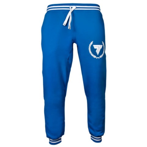 شلوار ورزشی مردانه ترک ویر مدل 032 Blue