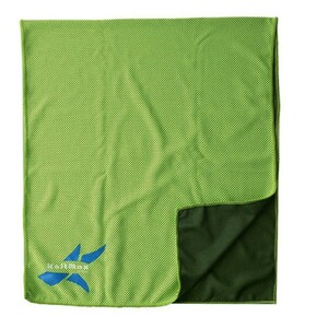 حوله دستی آبگیر ورزشی گلدن استار مدل B-300