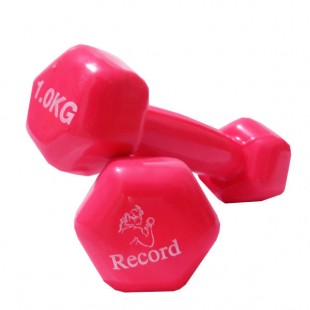 دمبل 1 کیلوگرمی مدل رکورد کد 2 بسته 2 عددی-dmbl-1-kilogrmi-model-rkord-code-2-basteh-2-count