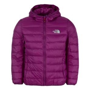 کاپشن ورزشی مردانه نورث فیس مدل HOMMES