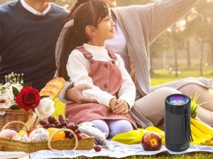 اسپیکر بلوتوثی رم خور و فلش خور ارلدام مدل ET-A21