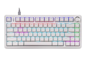 کیبورد مکانیکال گیمینگ آئولا  Aula F75