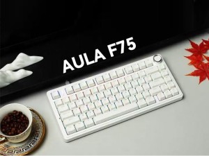 کیبورد مکانیکال گیمینگ آئولا  Aula F75