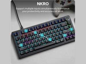 کیبورد مکانیکال گیمینگ آئولا  Aula F75