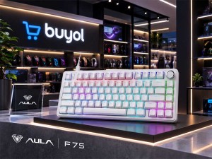 کیبورد مکانیکال گیمینگ آئولا  Aula F75