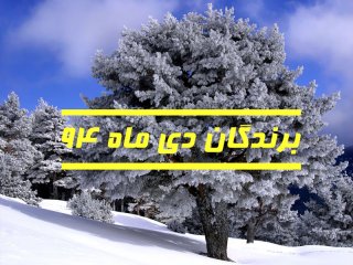 برندگان دی ماه 94