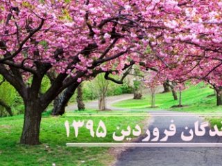 برندگان فروردین ماه 95