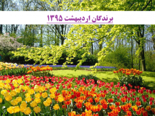 برندگان اردیبهشت ماه 95