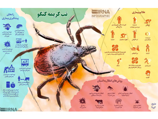 تب کریمه کنگو چیست و چطور از آن پیشگیری کنیم؟