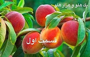 یک هلو و هزار هلو - قسمت اول