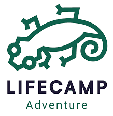 لایف کمپ