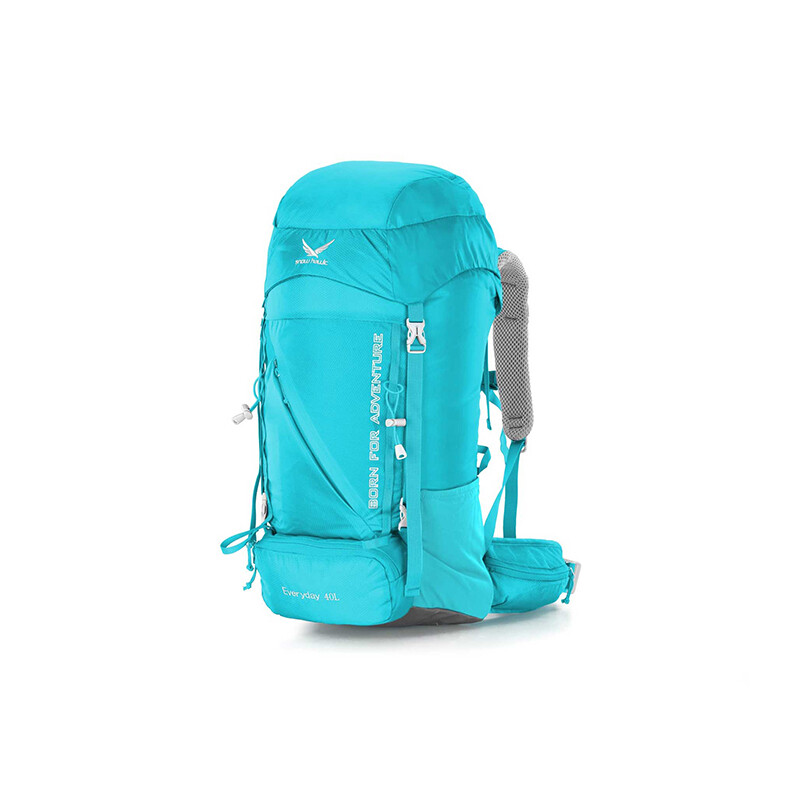 کوله پشتی اسنوهاک 40 لیتری مدل Every Day