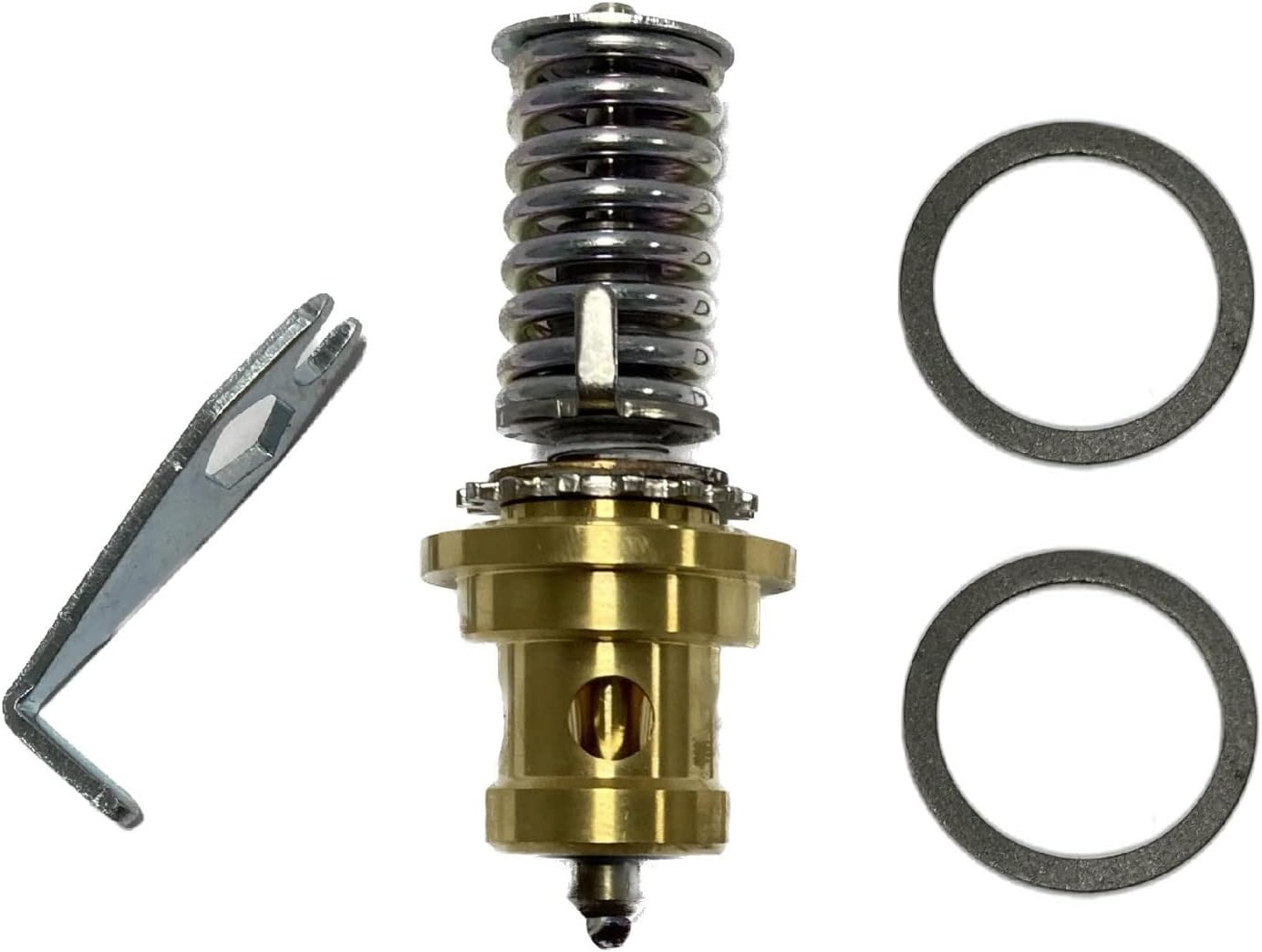 سوزن شیرانبساط دانفوس