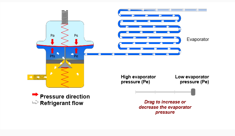 اکسپنشن ولو دانفوس