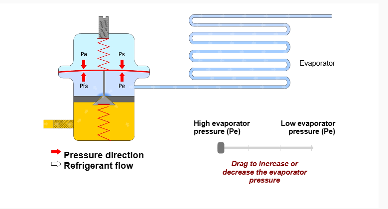 شیر انبساط دانفوس