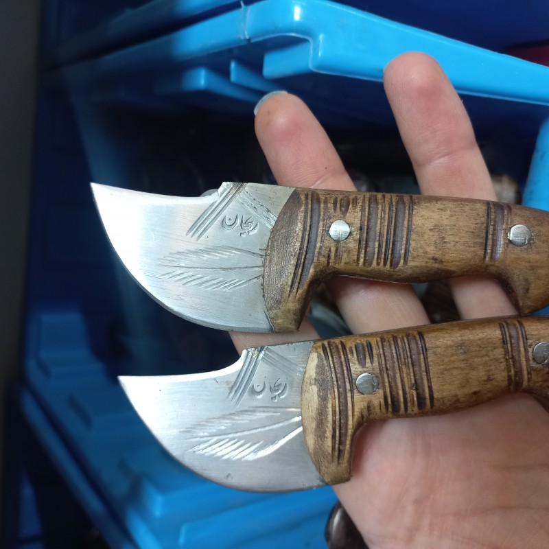 تیزی رضا پروانه