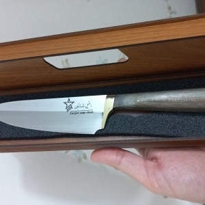 چاقوی آشپزخانه