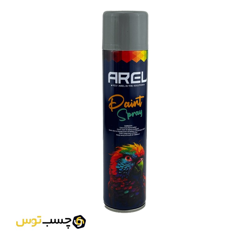 اسپری رنگ نقره ای آرل مدل الوان حجم 300 میلی لیتر