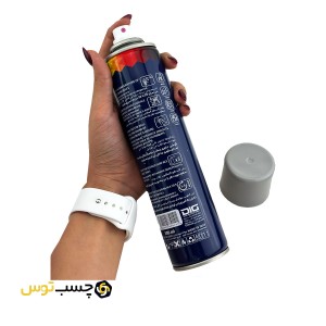 اسپری رنگ طوسی روشن آرل مدل الوان حجم 300 میلی لیتر