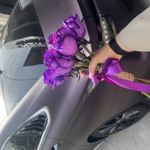 کاور بدنه ppf خودرو