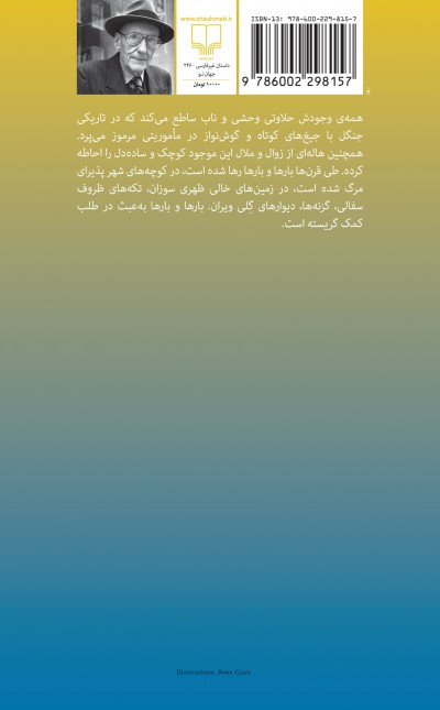 گربه‌ی درون