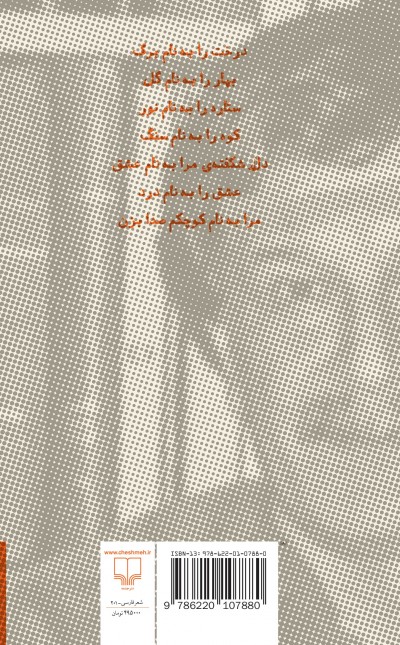 در غبار برف