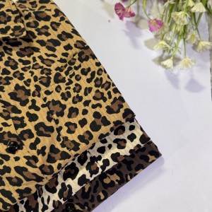 مانتو پاستیلی آیوا