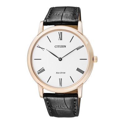 ساعت مچی مردانه سیتیزن مدل AR1113-12B