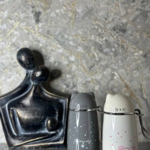 مینی تراولماگ