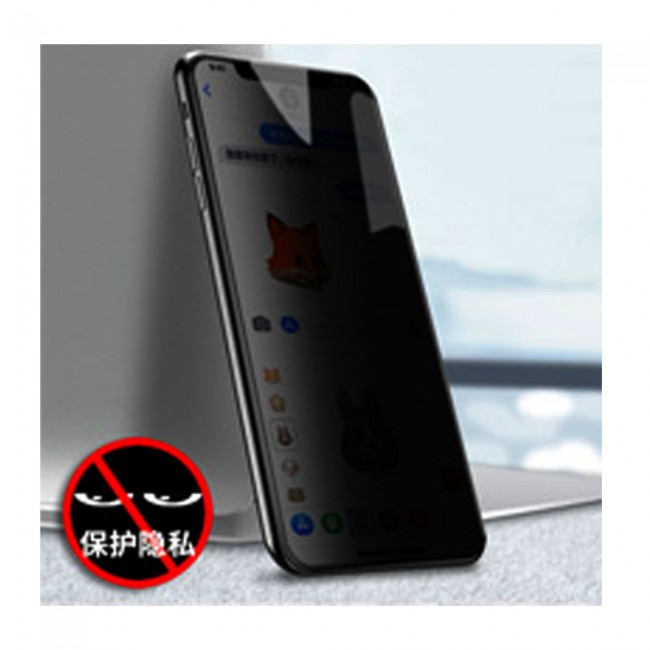 گلس ضد جاسوسی آیفون Anti Spy Glass Apple iPhone X/Xs