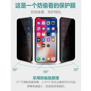 گلس ضد جاسوسی آیفون Anti Spy Glass Apple iPhone X/Xs