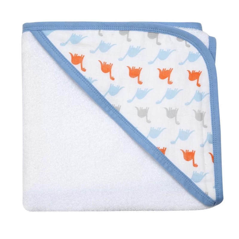 حوله کودک لیون بیر Lion Bear