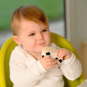 دندانگیر خنک کننده و جایخی طرح گاو کیدزمی  kidsme