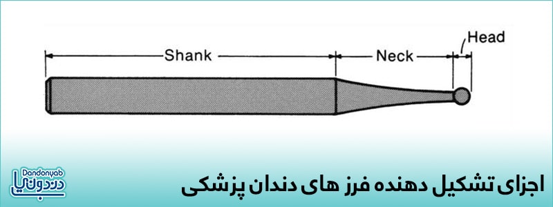  Head، Neck و Shank.