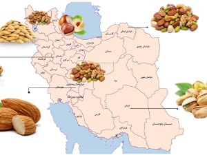کدام شهرهای ایران به شهر آجیل معروف هستند؟