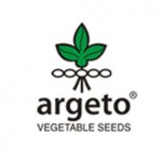 آرگتو