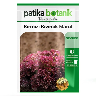 بذر کاهو فر قرمز پاتیکا بوتانیک