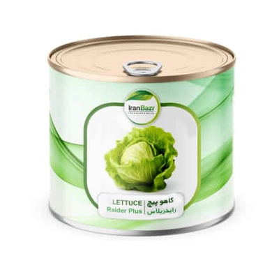 بذر کاهو پیچ استاندارد رایدر پلاس ایران بذر