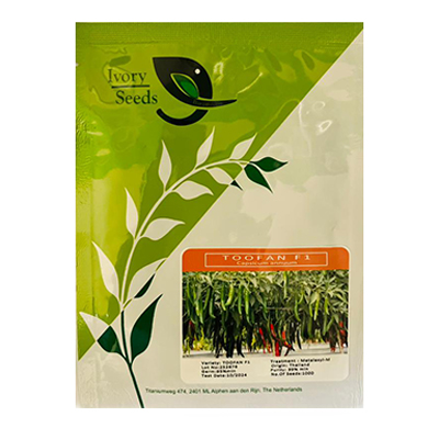 بذر فلفل قلمی تند هیبرید طوفان ایوری سیدز