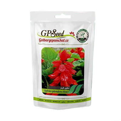 بذر گل سلوی (مریم گلی) قرمز